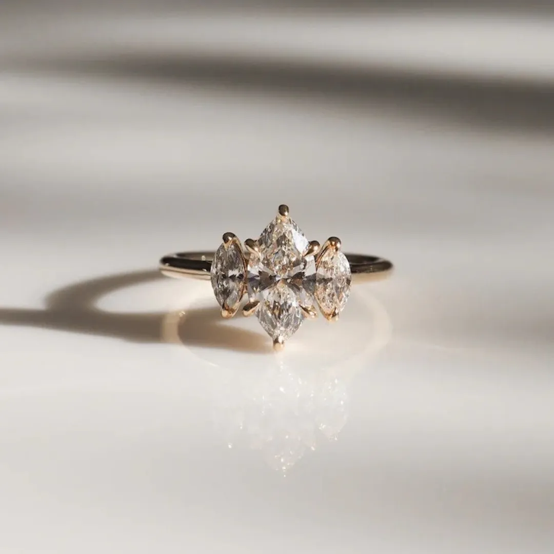 /public/photos/live/marquise (2).webp